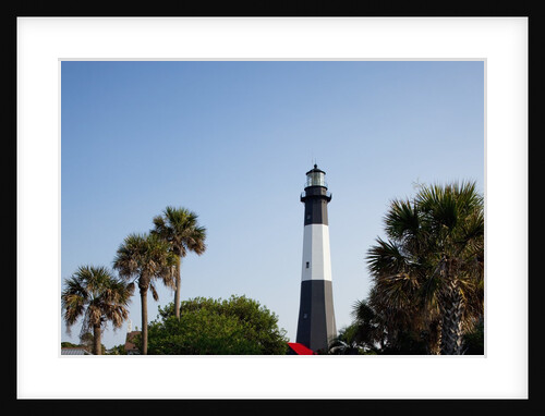 Tybee Lighthouse, Georgia by Anonymous