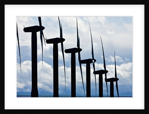 Windmills, Wallula, Washington by Anonymous