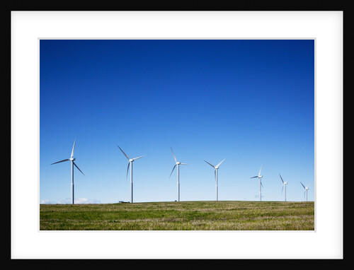 Windmills, Wallula, Washington by Anonymous