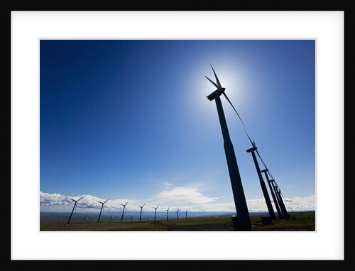 Windmills, Wallula, Washington by Anonymous