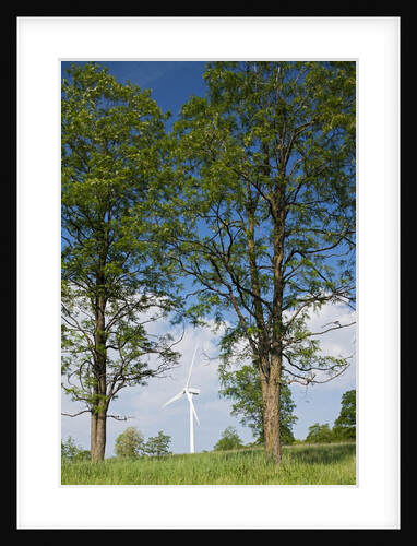 Wind Farm, West Virginia by Anonymous