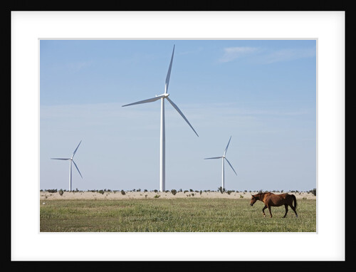 Wind Farm, Vega, Texas by Anonymous