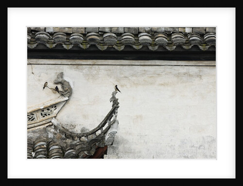 Birds on tiled roof in Xidi, China by Anonymous