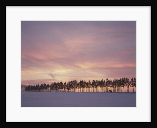 Sunrise over a snow covered field in Hokkaido, Japan by Anonymous