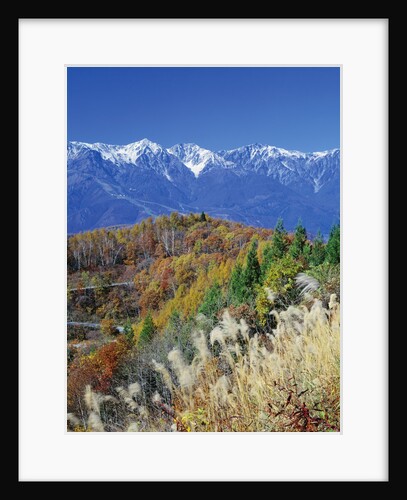 Mountain range and autumn foliage, Hakuma Miyama, Nagano Prefecture, Japan by Anonymous