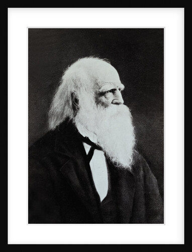 William Cullen Bryant by Anonymous