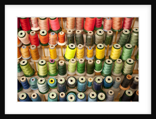 Multi-colored thread in high school sewing class by Anonymous