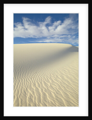 Dune in White Sands National Monument by Anonymous