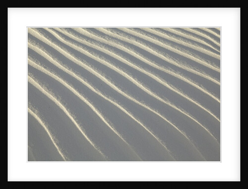 Sand in White Sands National Monument by Anonymous