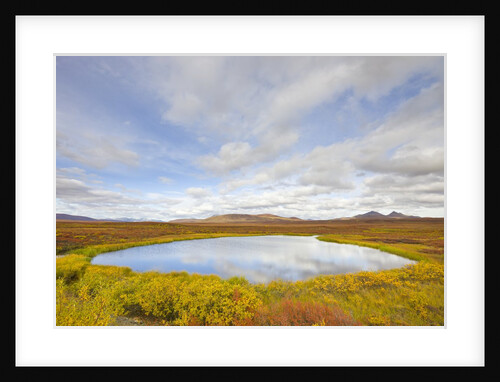 Pond and tundra in Yukon Territory by Anonymous