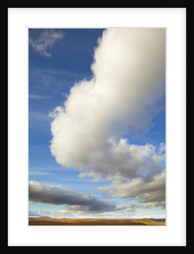Cumulus clouds above tundra in Yukon Territory by Anonymous