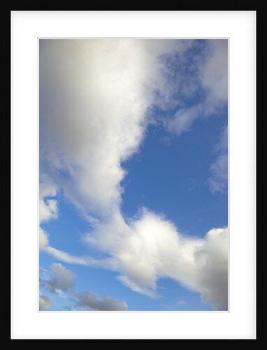 Lenticular and cumulus clouds in Denali National Park by Anonymous