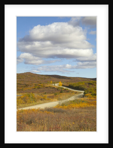 Tundra and cumulus clouds in Denali National Park by Anonymous