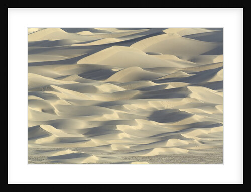 Sand dunes in Death Valley National Park by Anonymous