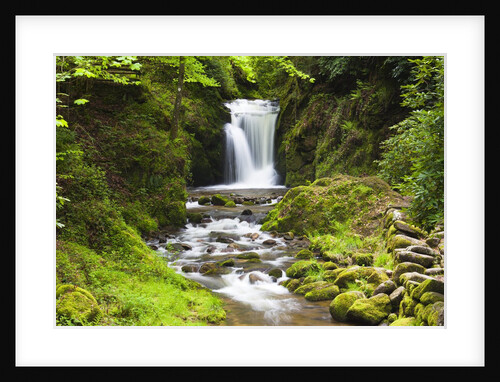Geroldsauer Waterfall in Grobbach Valley in the Black Forest by Anonymous