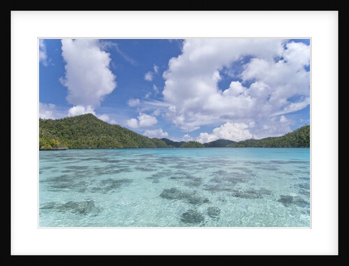 Indonesian island by Anonymous