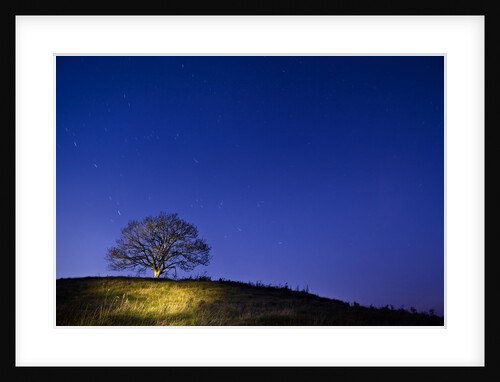 Burrow Hill, Somerset, at night by Anonymous
