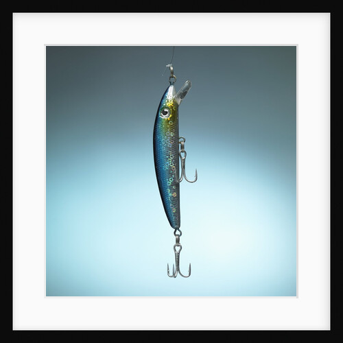 Fishing tackles by Anonymous