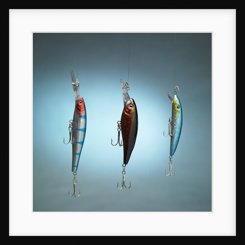 Fishing tackles by Anonymous