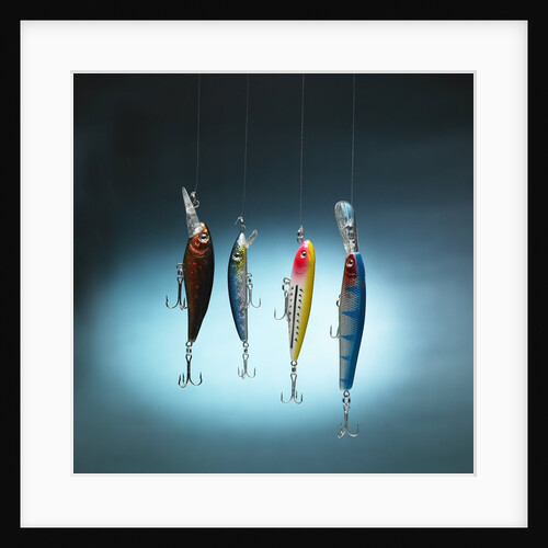 Fishing tackles by Anonymous