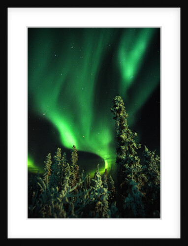 Aurora Borealis or Northern Lights, Yukon. by Anonymous