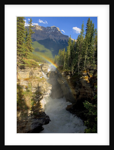 A vertical image of the Athabasca falls on the Athabasca river with a colorful rainbow and Mount Kerkeslin looming above all. by Anonymous
