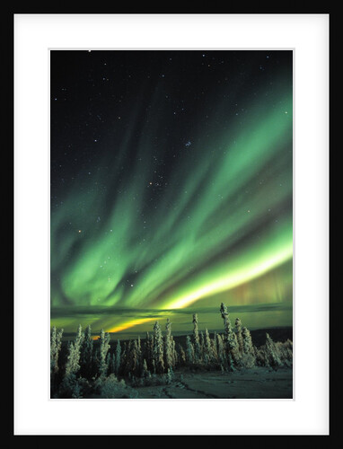 Aurora Borealis or Northern Lights, Yukon. by Anonymous