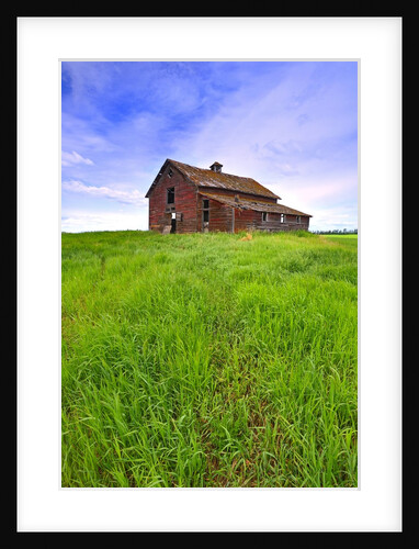 Abandoned red barn sitting on the top of a hill on a pioneer homestead in rural Alberta Canada by Anonymous