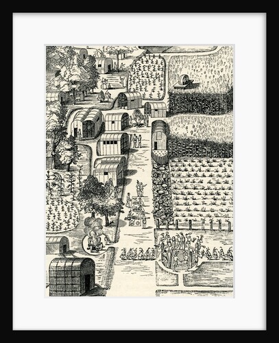 Town of Pomeiooc by Anonymous