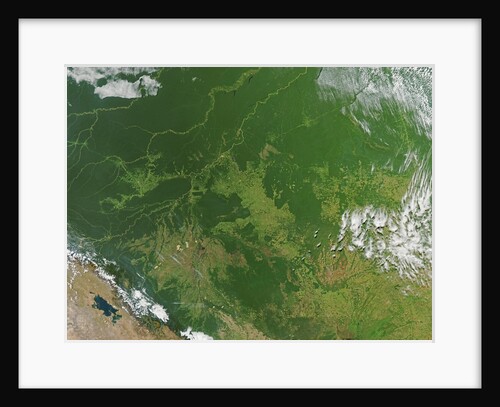 Deforestation in the Amazon Basin, Brazil by Anonymous