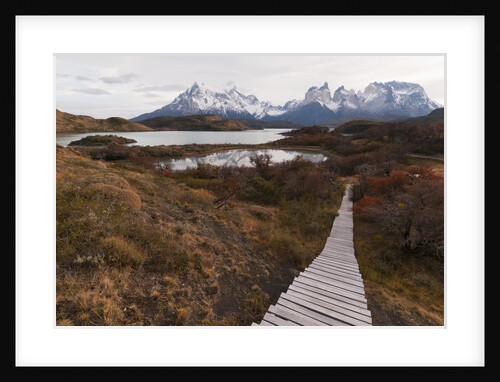 Boardwalk to Lago Pehoe, Torres del Paine National Park, Patagonia, Chile. by Anonymous