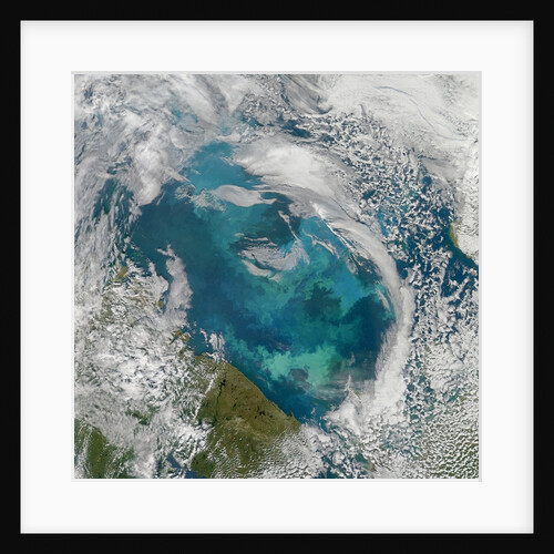Phytoplankton Bloom in the Barents Sea by Anonymous