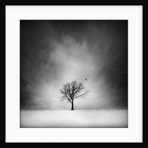Solitary tree in a winter landscape by Anonymous