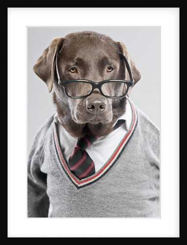 Dog in sweater and glasses by Anonymous
