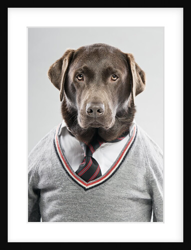 Dog in a sweater by Anonymous