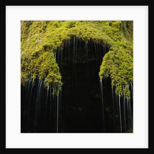 A moss covered waterfall in the Bavarian Allg?u by Anonymous