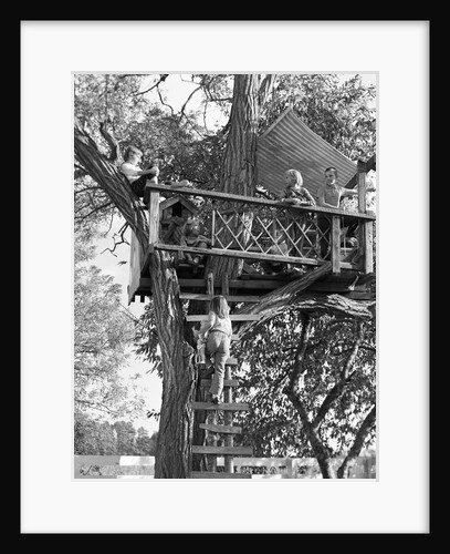 Kids playing in tree house by Anonymous