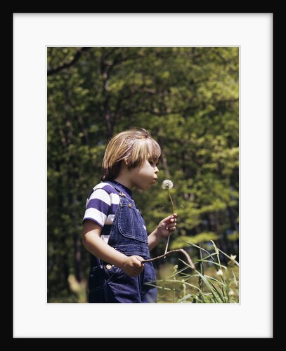Boy wearing bib overalls blowing on dandelion head by Anonymous