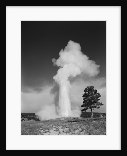 Old faithful geyser erupting yellowstone national park by Anonymous