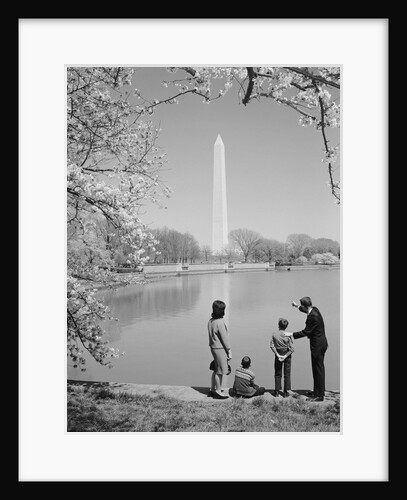 Family mother father two boys in washington dc looking at washington monument amid cherry blossoms by Anonymous