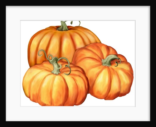 A picture of three pumpkins by Anonymous