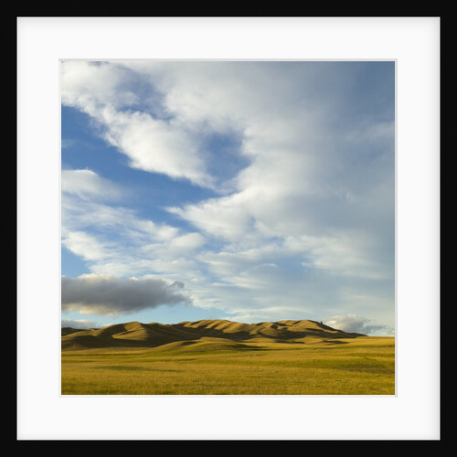 Grazing farmland hills and cumulus clouds, evening, South Island, New Zealand by Anonymous