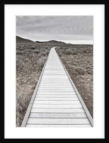 Boardwalk through the desert by Anonymous