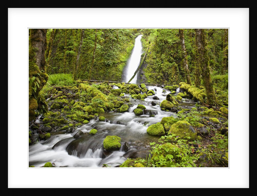 Ruckel Creek Falls in Columbia River Gorge National Scenic Area by Anonymous