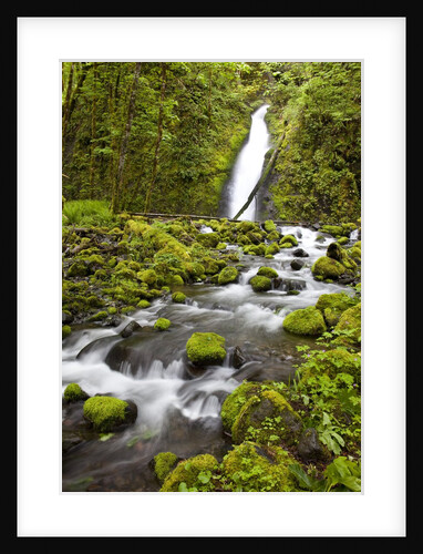 Ruckel Creek Falls by Anonymous