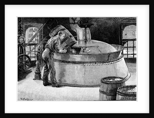 Brewer adding hops to boiling beer in an American brewery by Anonymous