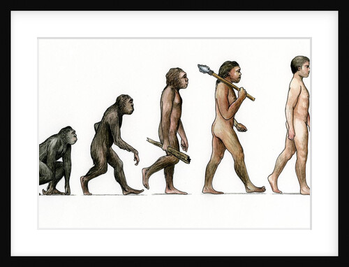 Evolution of man by Anonymous