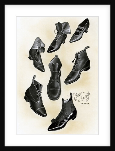 Variety of shoes and boots by Anonymous
