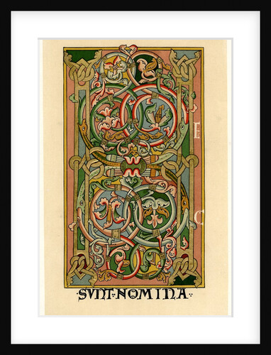 Illuminated initial H by Anonymous