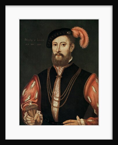 Lord Darnley by Anonymous
